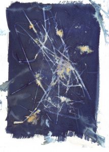Cyanotype sur papier 10. Philippe Marchenay