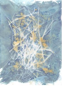 Cyanotype sur papier 11. Philippe Marchenay