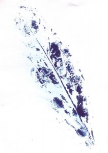 Cyanotype sur papier 18. Philippe Marchenay