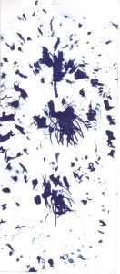 Cyanotype sur papier 20. Philippe Marchenay