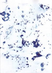 Cyanotype sur papier 7. Philippe Marchenay