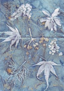 Cyanotype sur papier 8. Philippe Marchenay