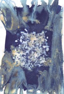 Cyanotype sur papier 9