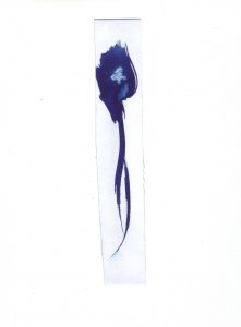 Cyanotype sur papier Philippe Marchenay