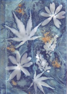Cyanotype sur papier 3. Philippe Marchenay