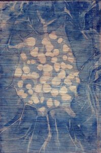 Cyanotype sur bois 1 par Philippe Marchenay